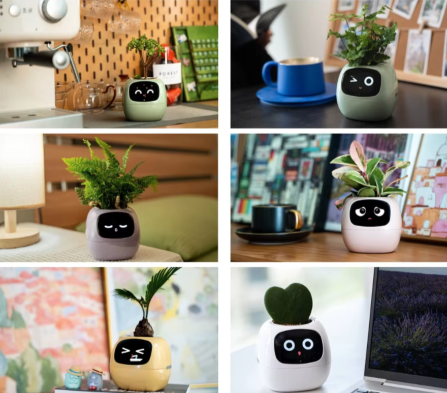 POKEY Smart Planter