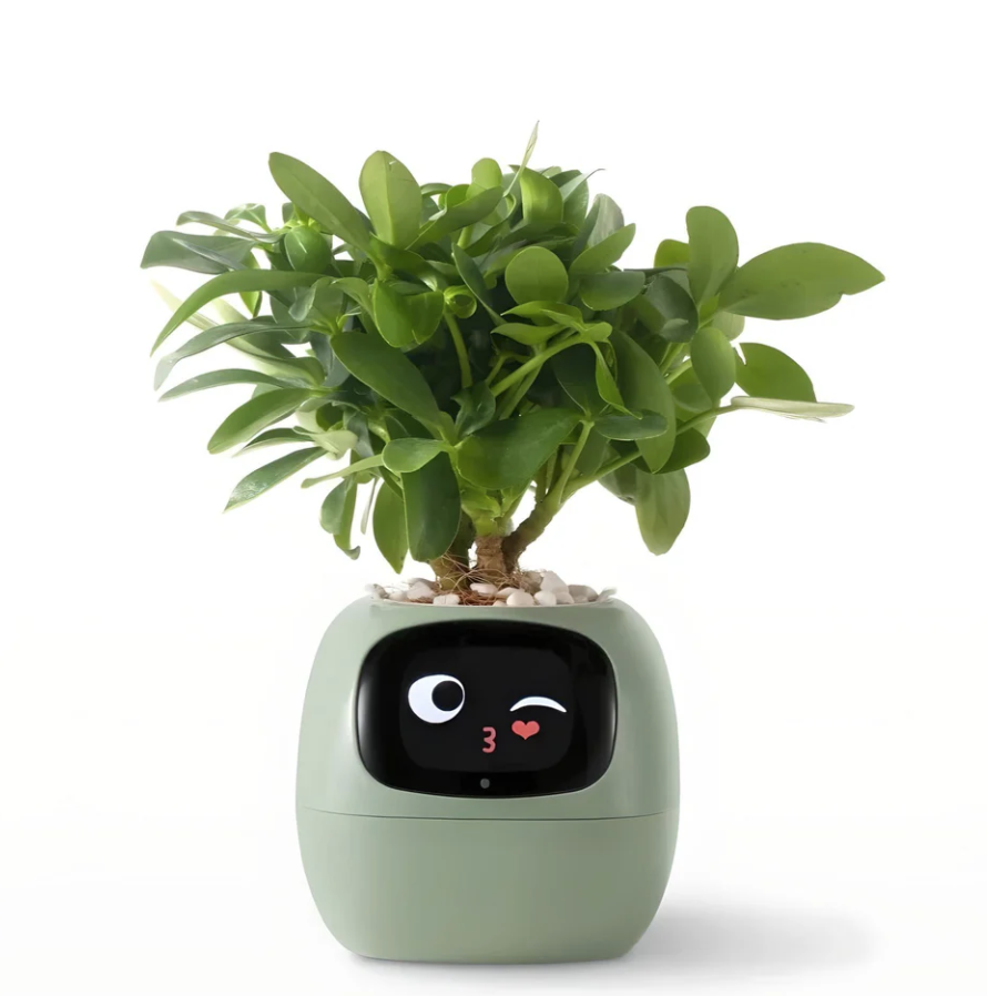 POKEY Smart Planter