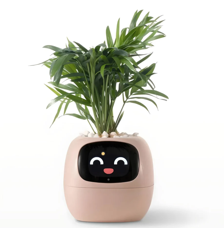 POKEY Smart Planter