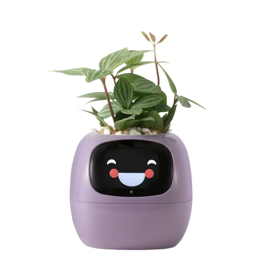 POKEY Smart Planter