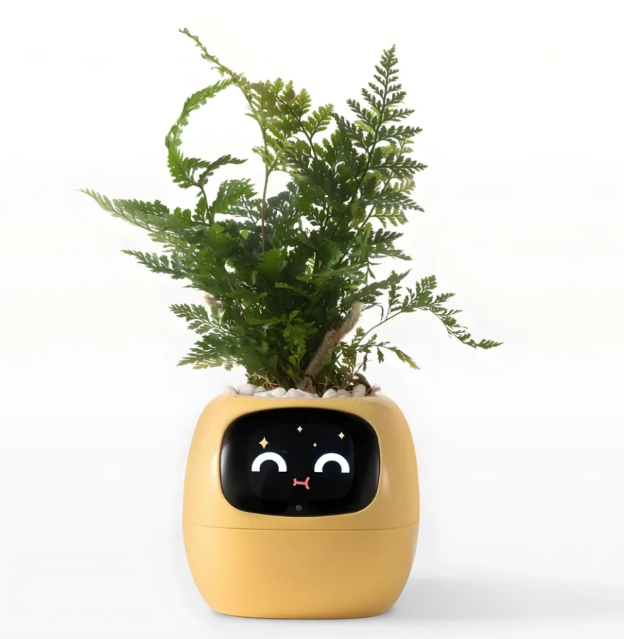 POKEY Smart Planter